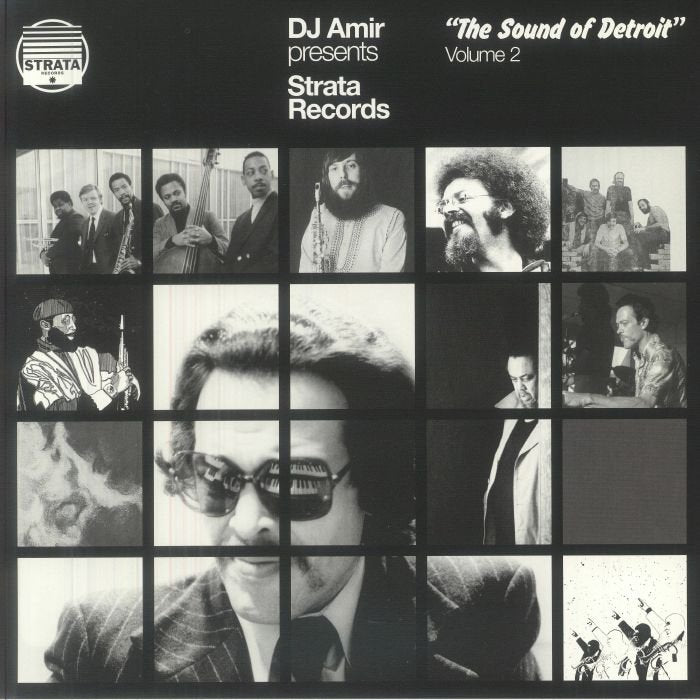 DJ Amir / Various Artists - Strata Records: The Sound Of Detroit Vol 2