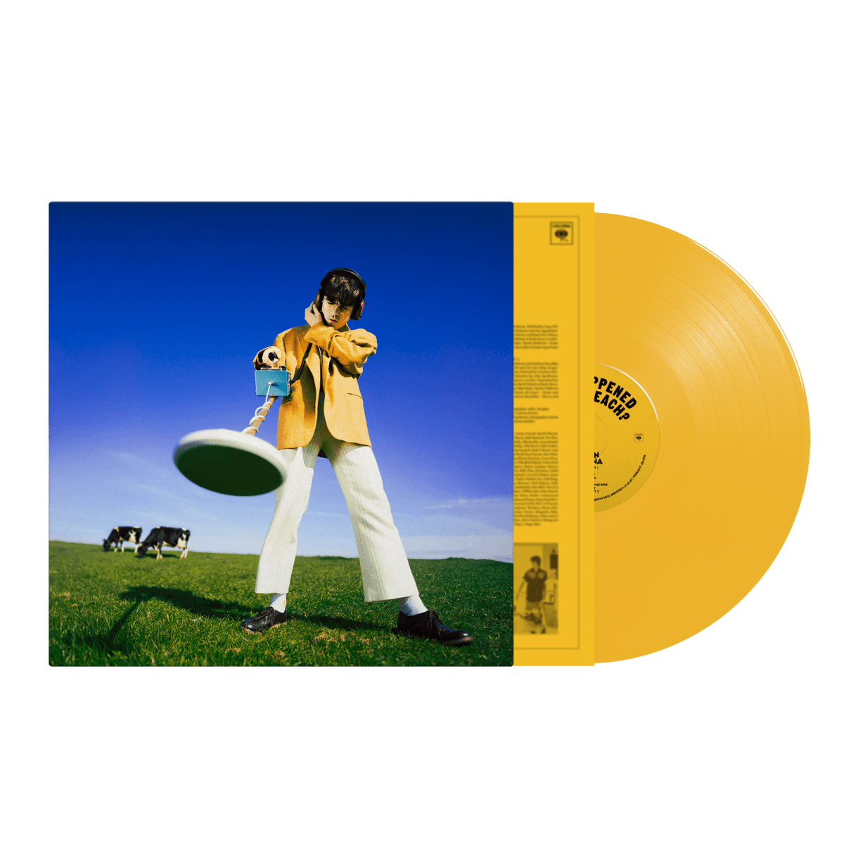 Declan McKenna - What Happened to the Beach?