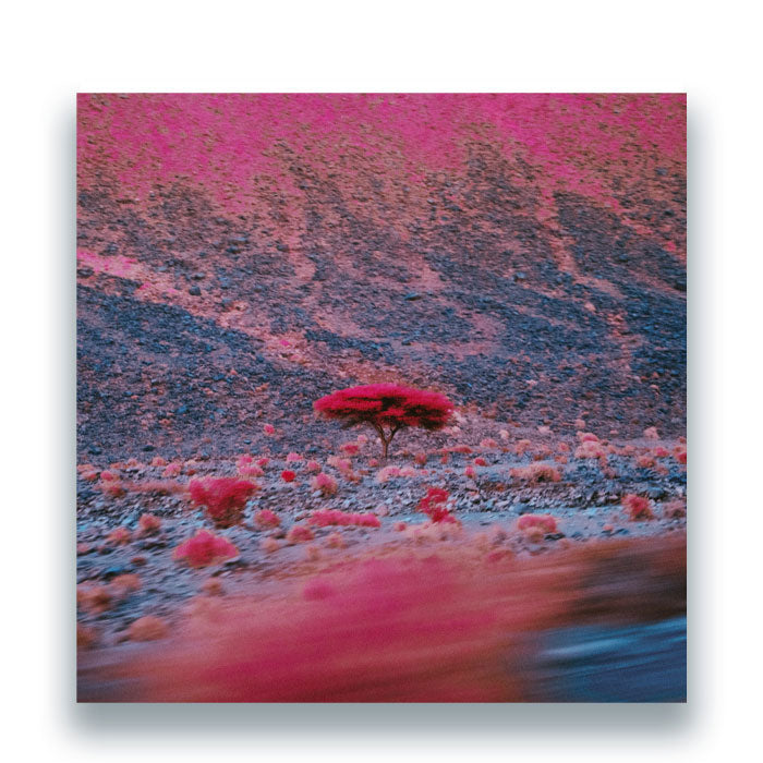 O'Flynn - Kairos