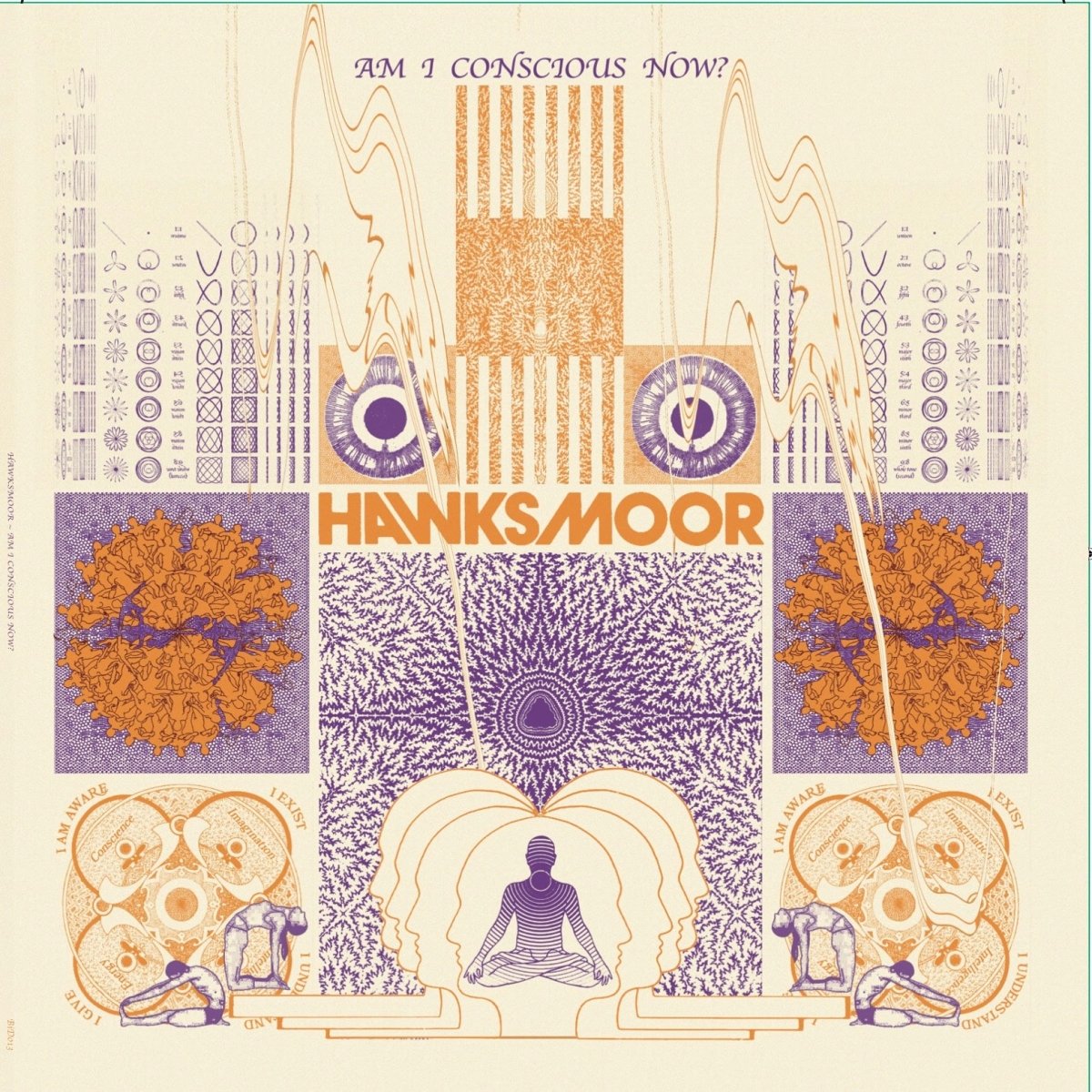 HAWKSMOOR - Am I Conscious Now?