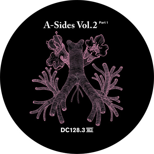 Various Artists - A Sides Volume II Pt 3