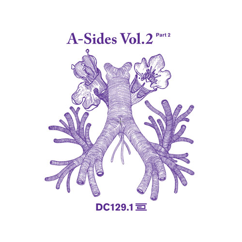 Various Artists - A Sides Volume II Pt 1