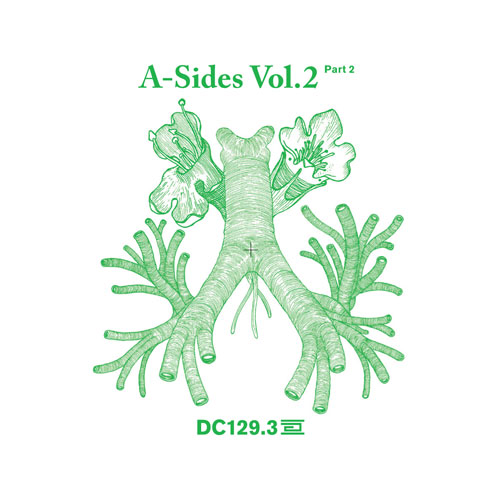 Various Artists - A Sides Volume II Pt 3