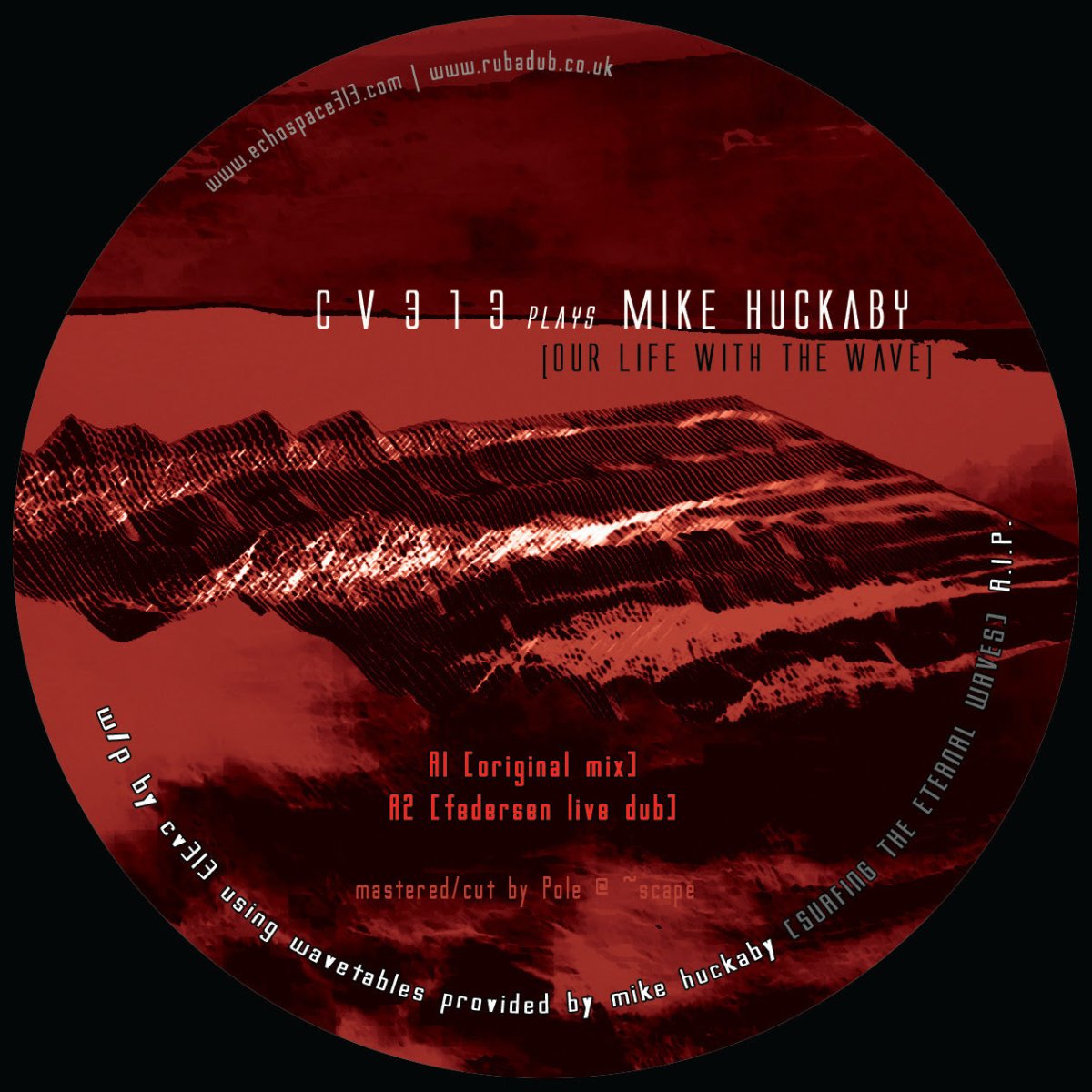cv313 & Mike Huckaby - Our Life With The Wave