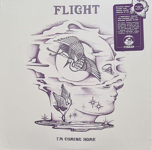 Flight - I'm Coming Home