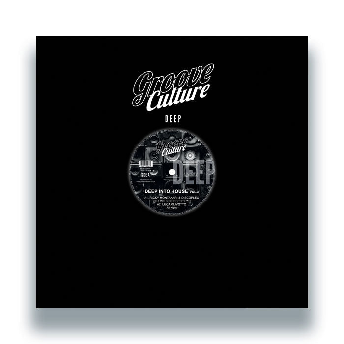 Ricky Montanari & Discoplex / Luca Olivotto / Gianni Bini - Deep Into House Vol.3