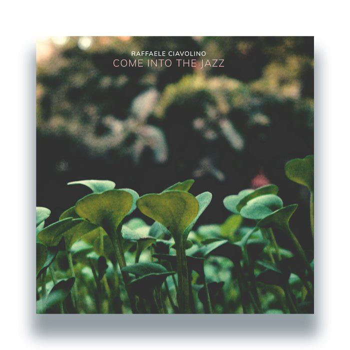 Raffaele Ciavolino - Come Into The Jazz