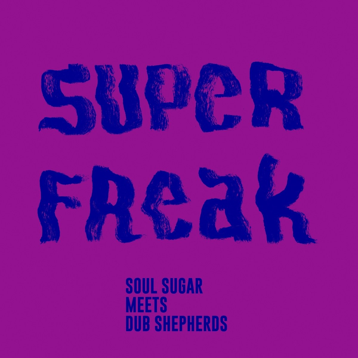 Soul Sugar & Dub Shepherds - Super Freak