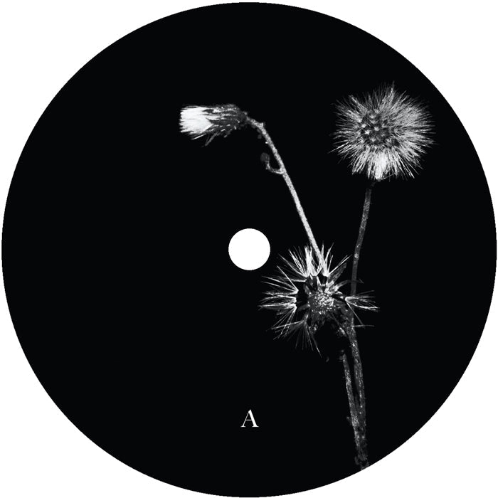 Jon Dasilva and Skyskrapa Feat. Donald Waugh - Sun Brings Joy