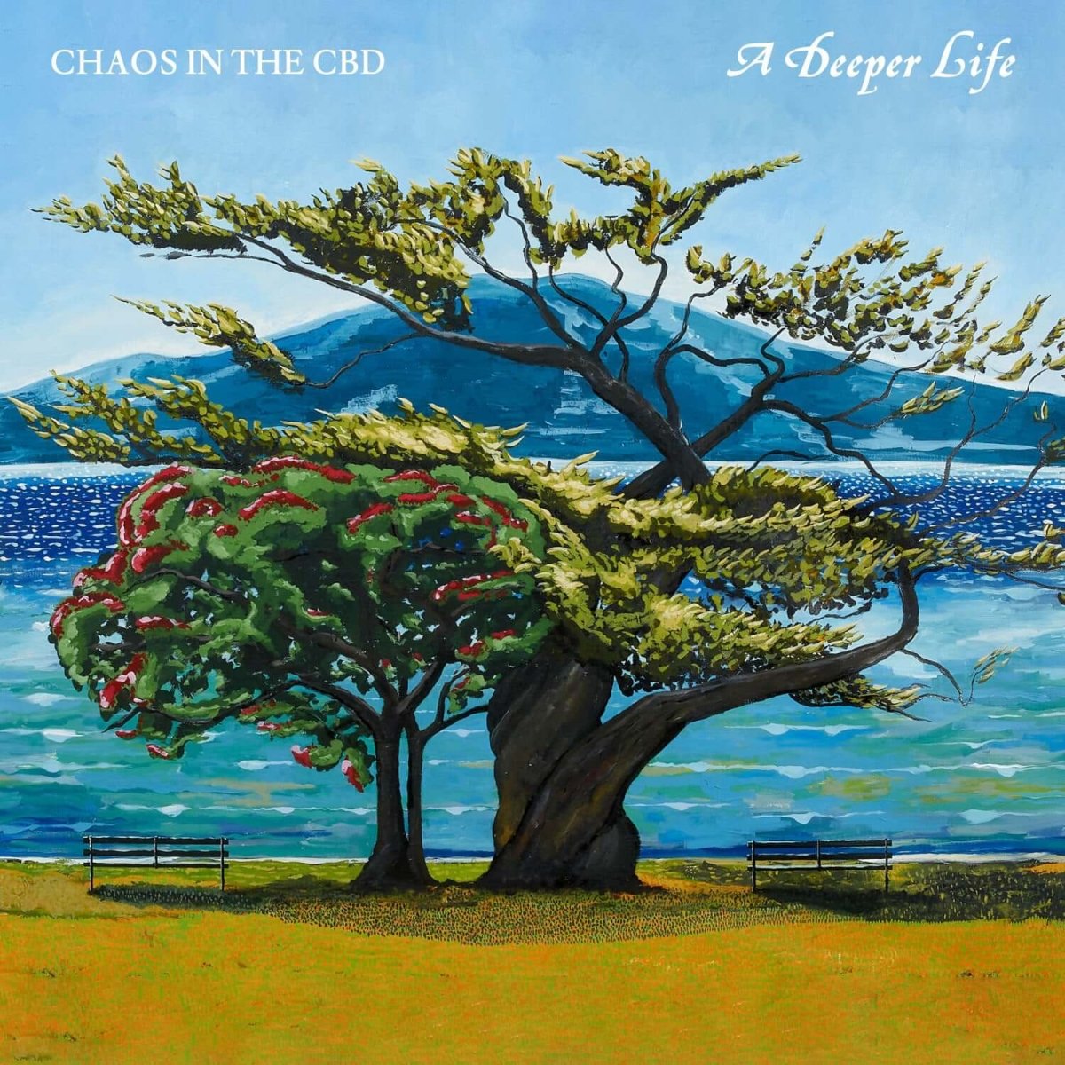Chaos In The CBD — A Deeper Life