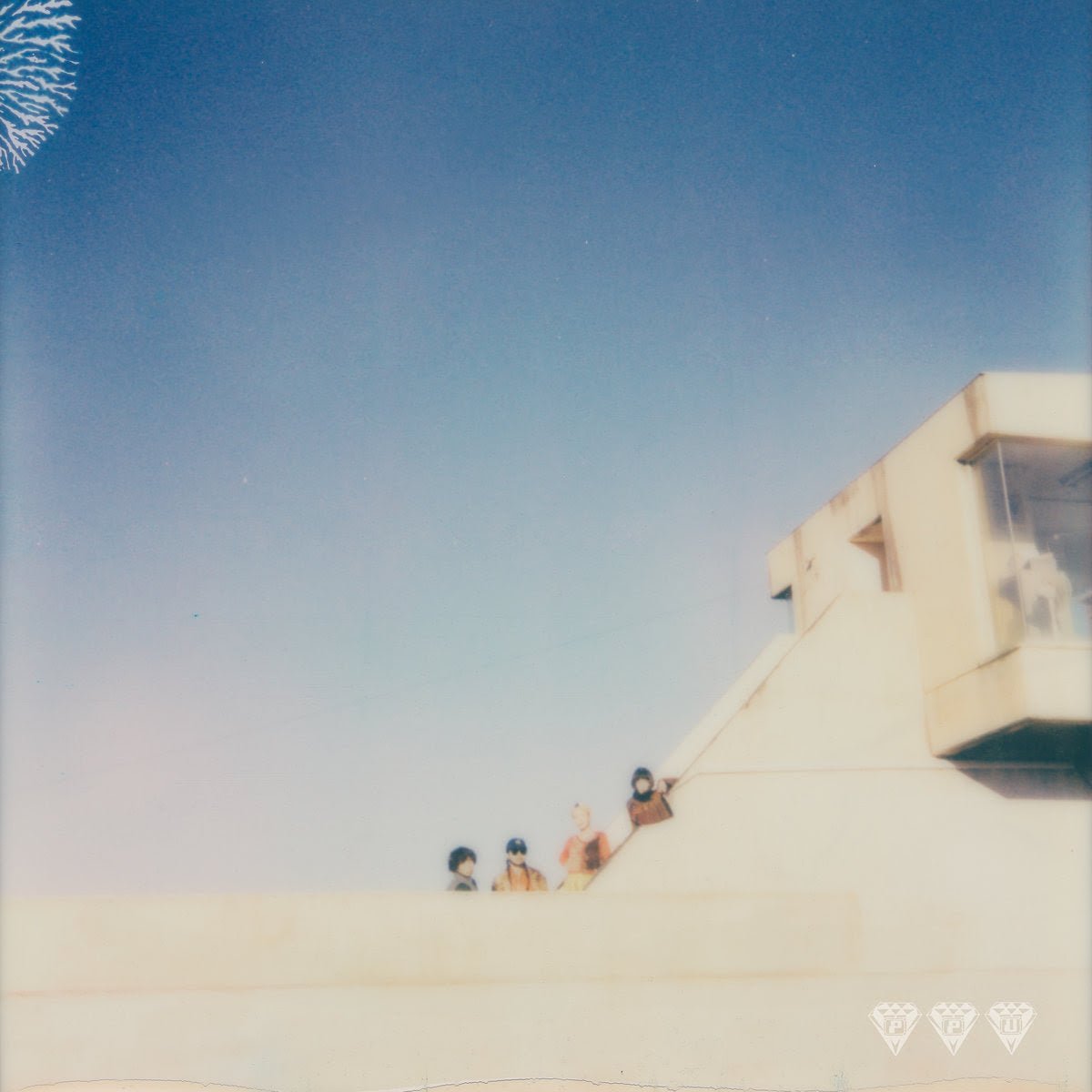 Tam Tam - Where They Dwell