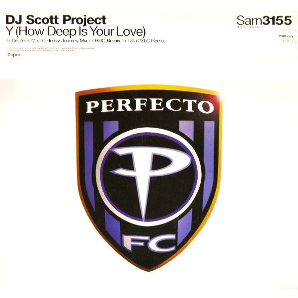 DJ Scot Project - Y (How Deep Is Your Love)