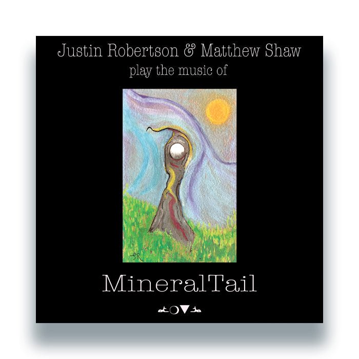 Justin Robertson and Matthew Shaw - Play the music of MineralTail