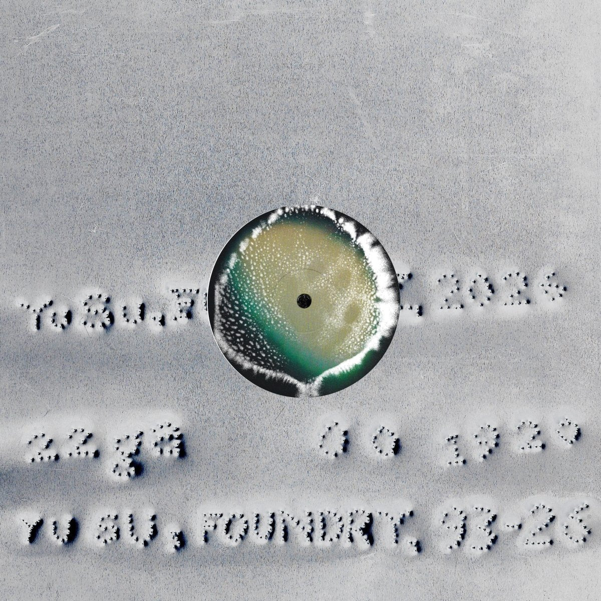 Yu Su - Foundry