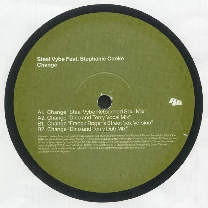 Steal Vybe Feat. Stephanie Cooke - Change