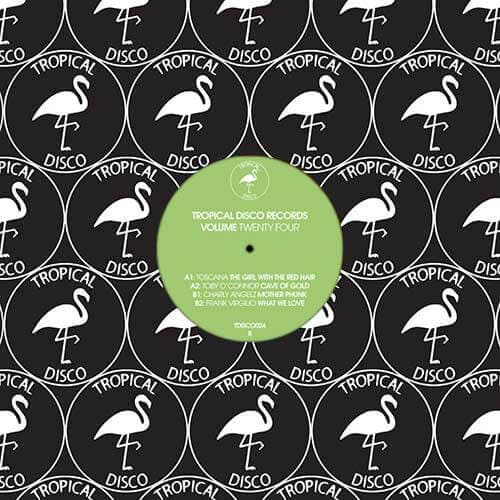 Various - Tropical Disco Records Vol 24
