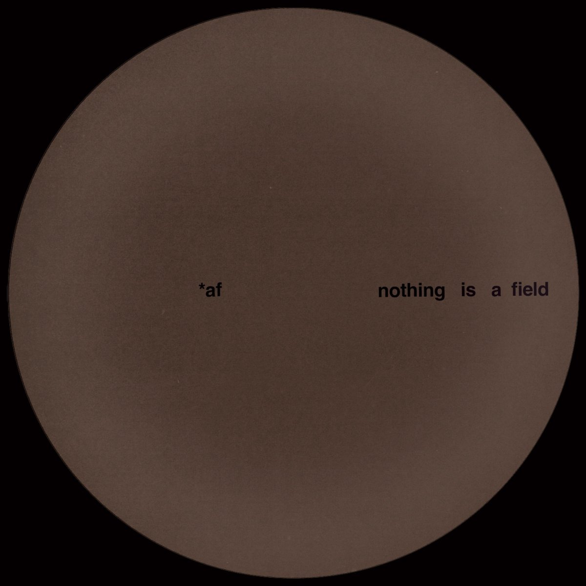 Adam Feingold - Nothing Is A Field