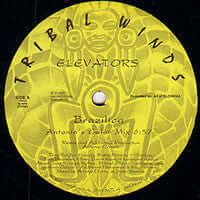 Elevators - Brazilica