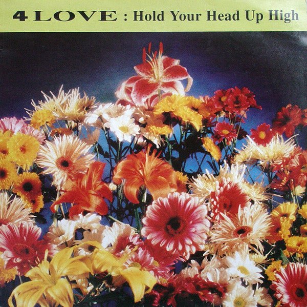 4 Love - Hold Your Head Up High