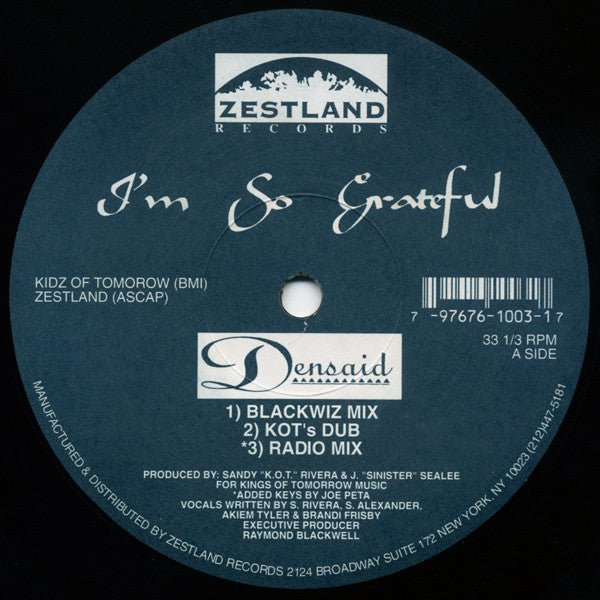 Densaid - I'm So Grateful / K.O.T. Anthem (Remix)